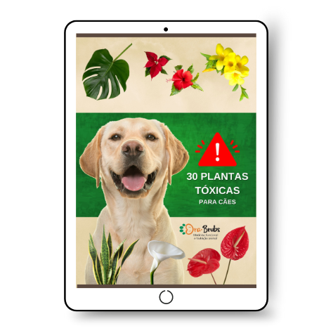 Copy of capa ebook logo 30 plantas toxicas